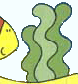 alga avatar