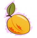 apricot avatar