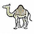 camel avatar